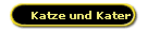 Katze und Kater